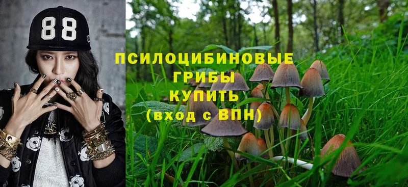 продажа наркотиков  Улан-Удэ  Псилоцибиновые грибы MAGIC MUSHROOMS 